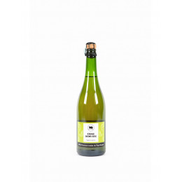 Cidre demi-sec Sagarno Goxoa