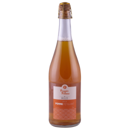 Jus Pomme Pétillant - 75cl