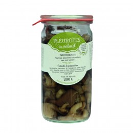 Pleurotes au naturel